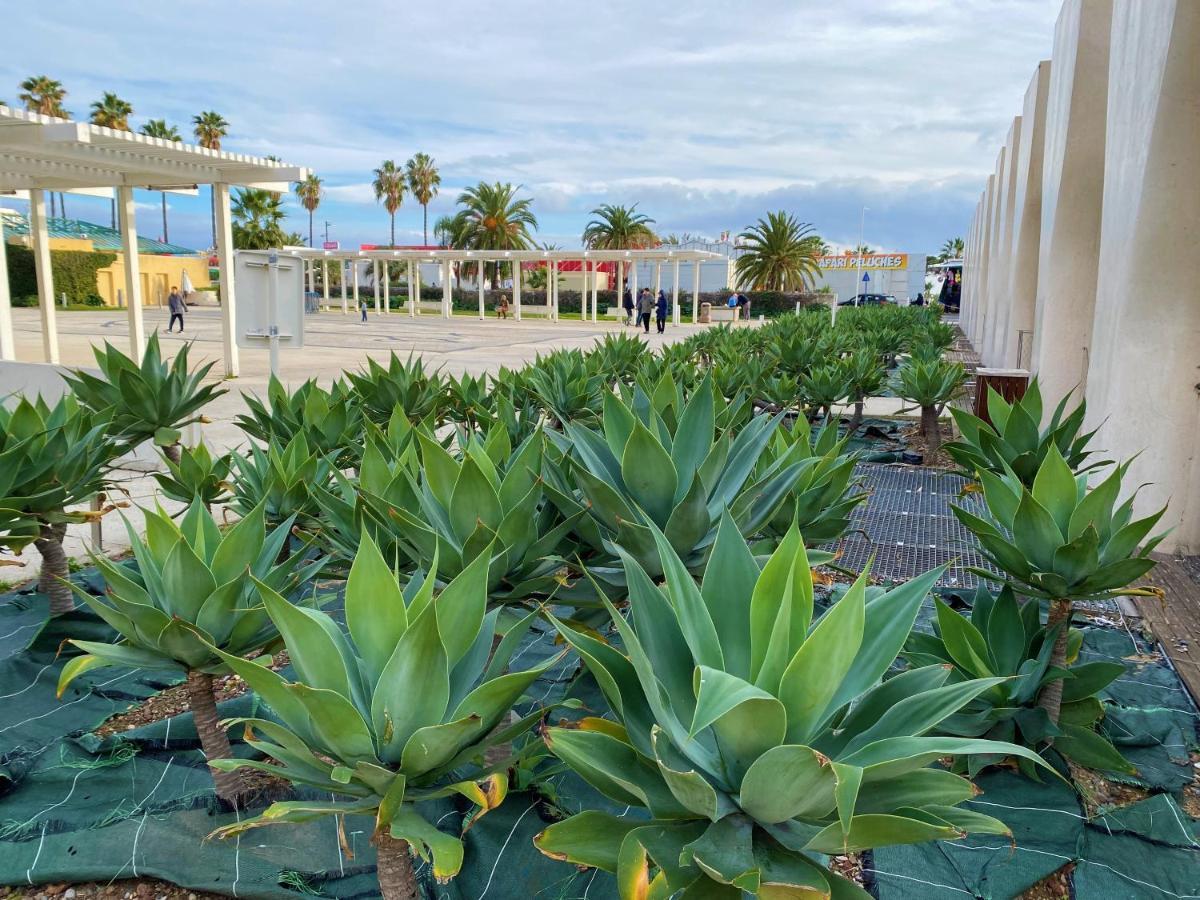 Menton Vacances ภายนอก รูปภาพ